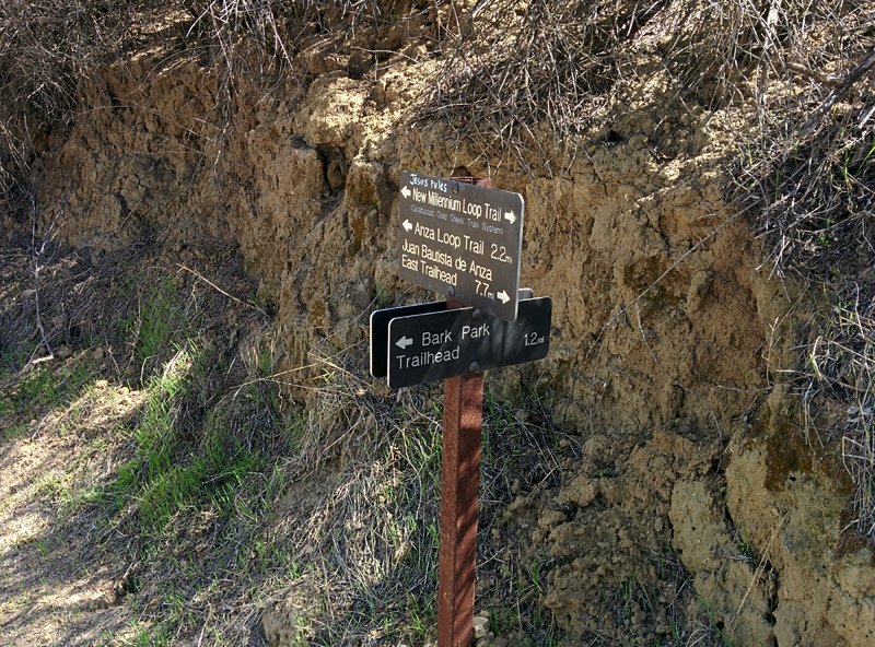 New Millennium Trail