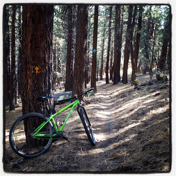 Inyo Craters Singletrack