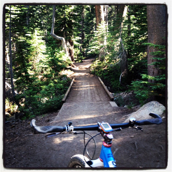 Horseshoe Lake Trail Mountain Bike Trail, Mammoth Lakes, California