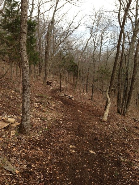 New trail bedding in nicely.