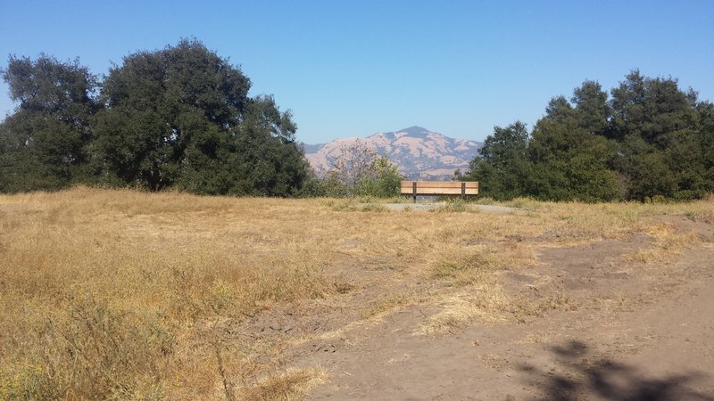 Las Trampas Madrone Loop
