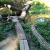 Tree bridge over Nine Mile Creek. It's rideable if you dare.
