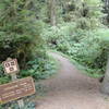 Trailhead for the Ossagon Trail at miles 5.7. Leave the road and turn left here.