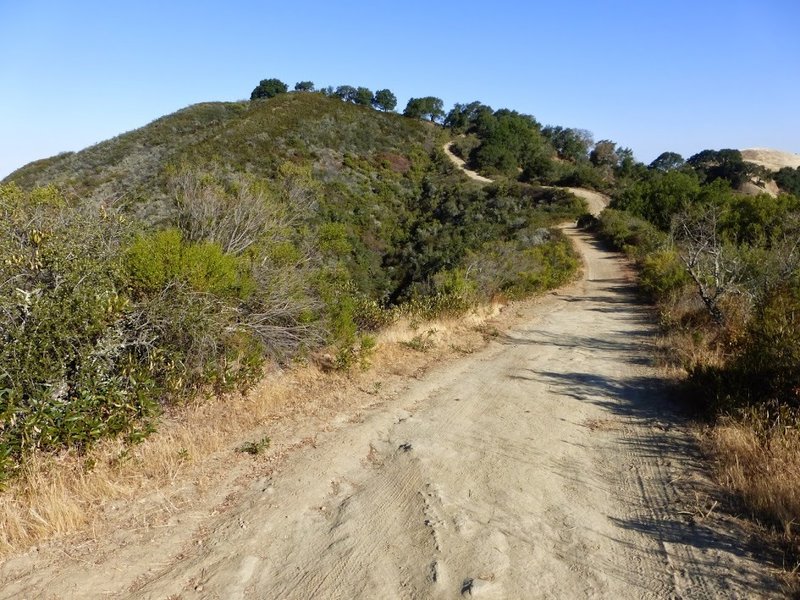 Las Trampas Ridge Trail - North