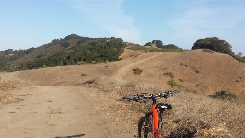 Las Trampas Ridge Trail - South