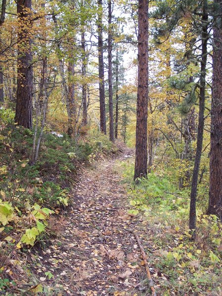 Upper Ogden Trail