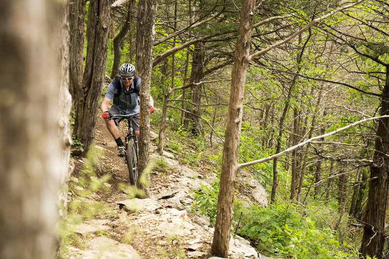 Blowing Springs Loop Mountain Bike Trail, Bella Vista, Arkansas