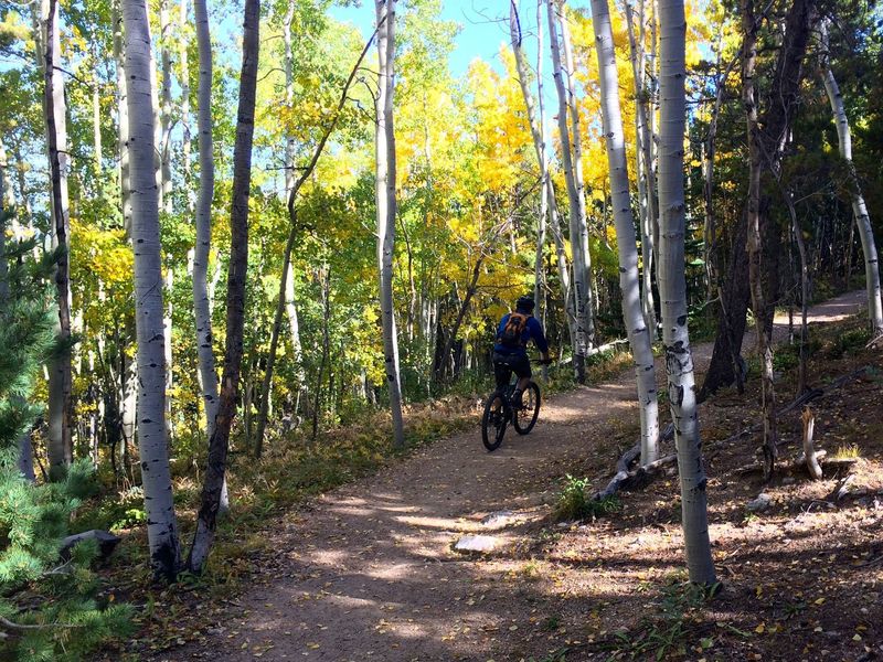 russell park mountain biking trails