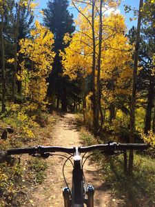 grouse mountain bike trails