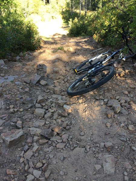 Typical Newt Jack trail.  Rocky, but not really technical.  Good trail if you just want to test shocks or bail on a longer loop.