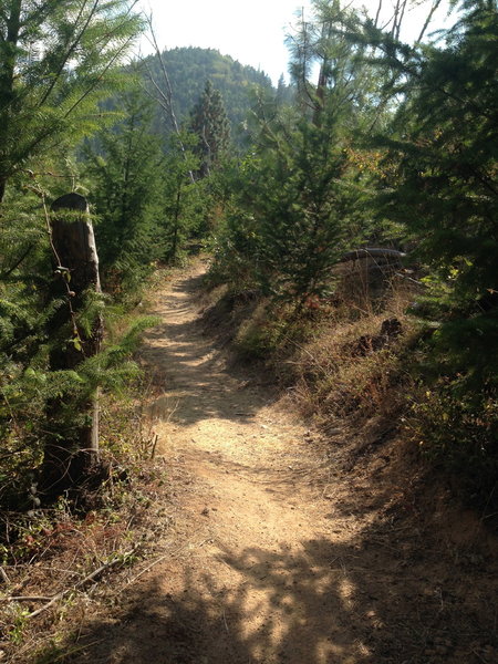 Ridge View