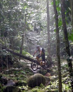 bukit kiara mtb trail