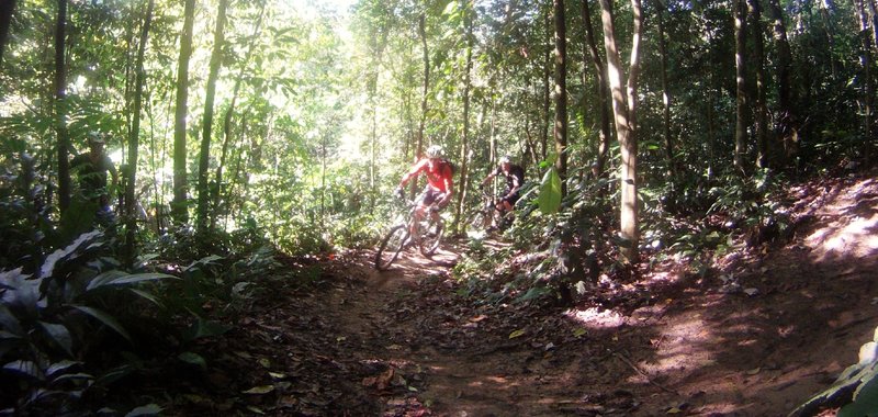 bukit kiara downhill mountain bike trail