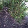 Steep-ish descent into a tight corner on Jubilee Park Circuit