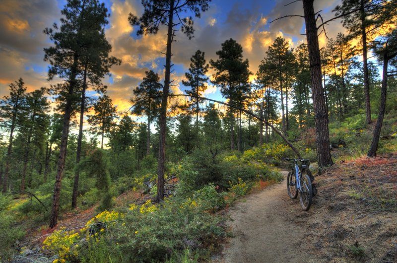 307 Groom Creek Loop Trail (Spruce Mtn) Mountain Bike Trail, Prescott