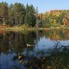 Tranquil, autumn day on Patsy Lake Trail
