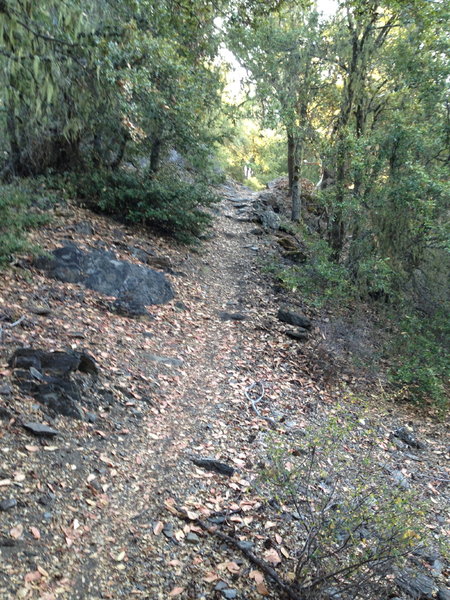 Elliott Ridge