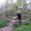 Just another day in the office at Core Creek Park