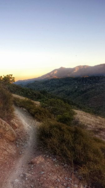 Mt. Tamalpais in the distance, Wagonwheel Trail section (facing SE or counter-clockwise direction)