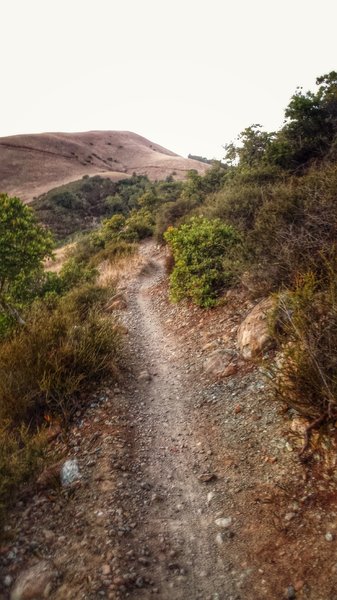 Tamarancho to Repack