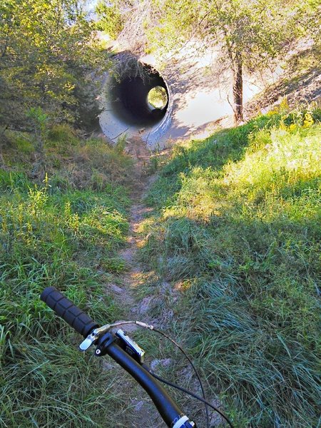 Birdhouse Ridge Mountain Bike Trail, Carnuel, New Mexico