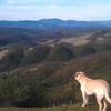 Looking toward Napa from the Fiske Creek Loop