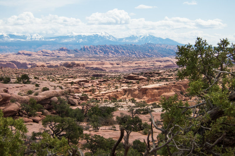 The wide ranging geology of Moab is clearly evident along this section of the trail.