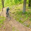 Keeping an eye on this hand-cut singletrack!  On Dutton Hollow Loop
