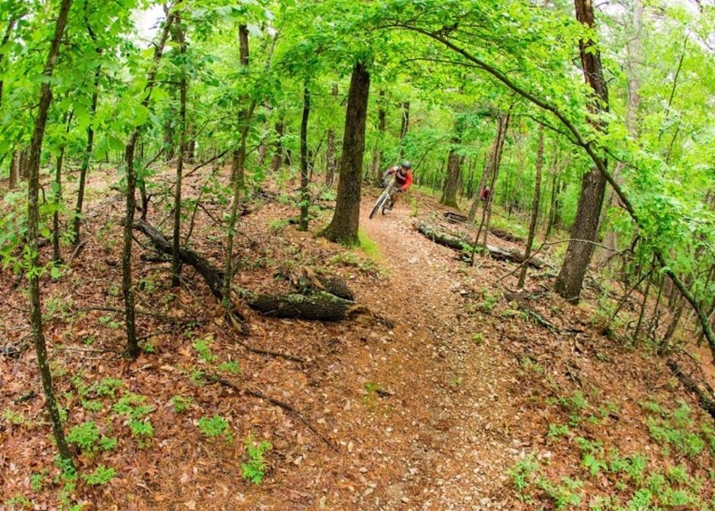 Flowing through some sweet hand-cut trail on War Eagle Loop!