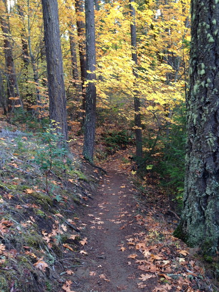 Along the Payette trail