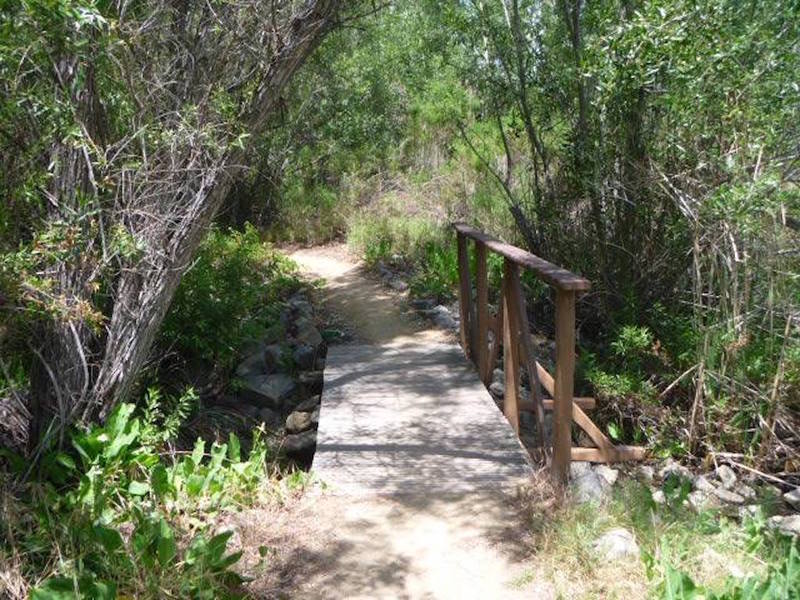 Bridge crossing over creek.
