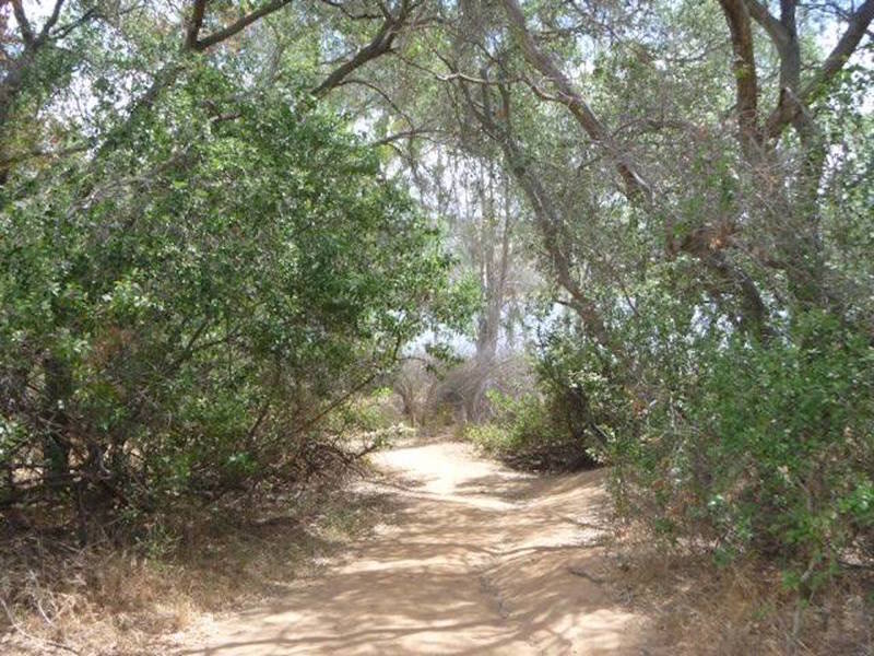 Lake Hodges from North Shore Trail