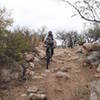One spot on Elephant Head Trail to test your techy downhill skills.