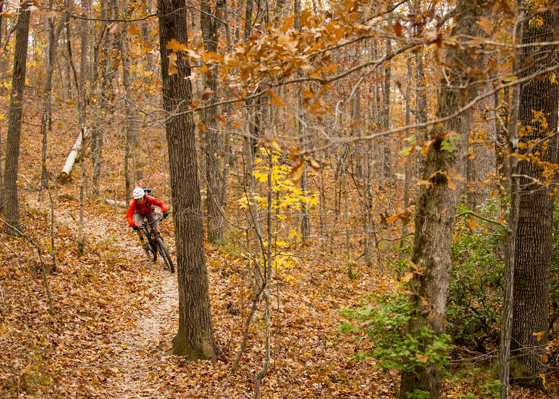 paris mountain mountain biking