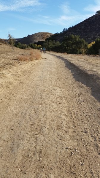 Cheeseboro Loop
