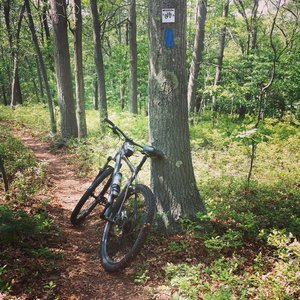 long island mountain biking