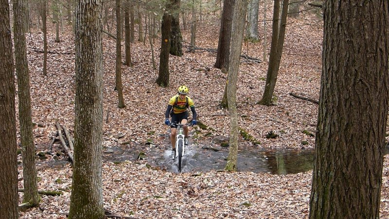 Wintergreen mountain biking Clearance