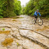 Creek crossing on Miners Rock Trail