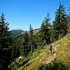 Delaney Creek Trail with Lookout Mountain in the far background.