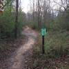 The sign to Mt. Adams MTB trail off of the Alpharetta Greenway.