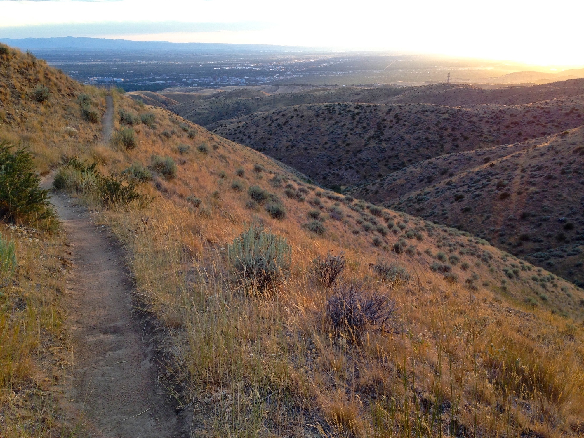 Smooth mellow section at the top of Three Bears Trail; looking West