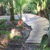 Wooden bridge feature between palm trees on River Loop Trail
