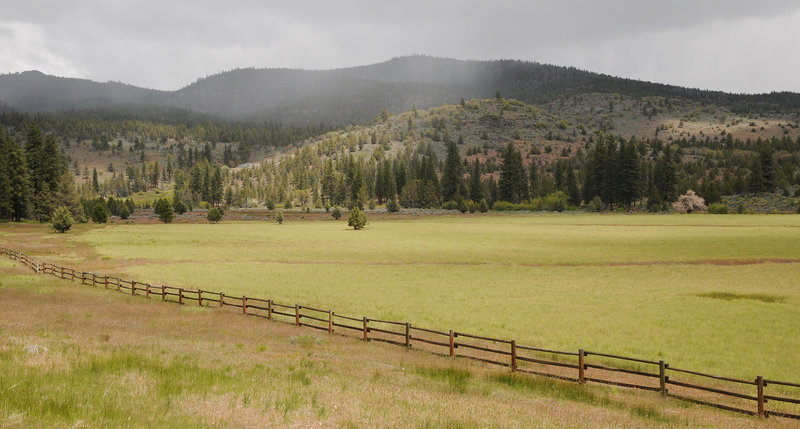 Stonewall Trail