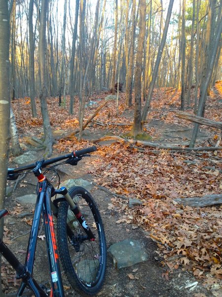 Colton Road Conservation Area (AKA Rayburn Trails) Mountain Bike Trail ...