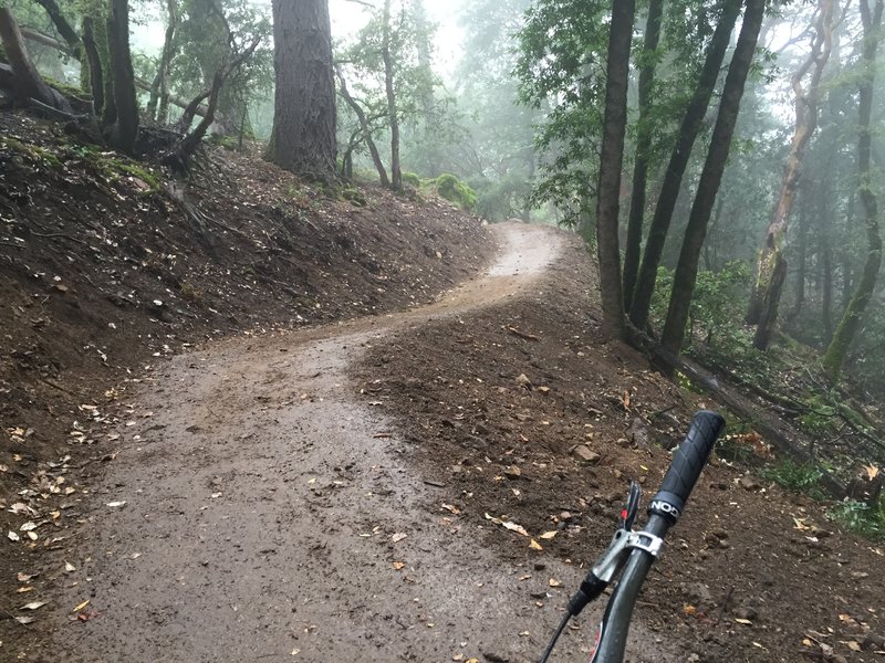 Nice tacky trail in the woods- John Nicholas Trail