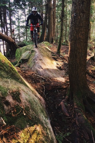 Sandstone slab ride into a tree pinch.