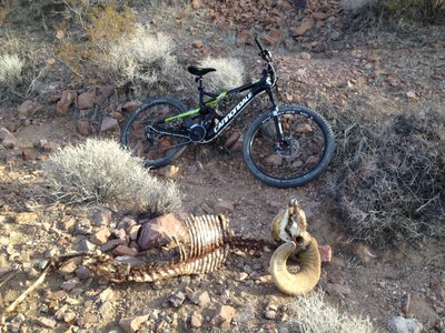 Mountain Bike Trails near Bootleg Canyon