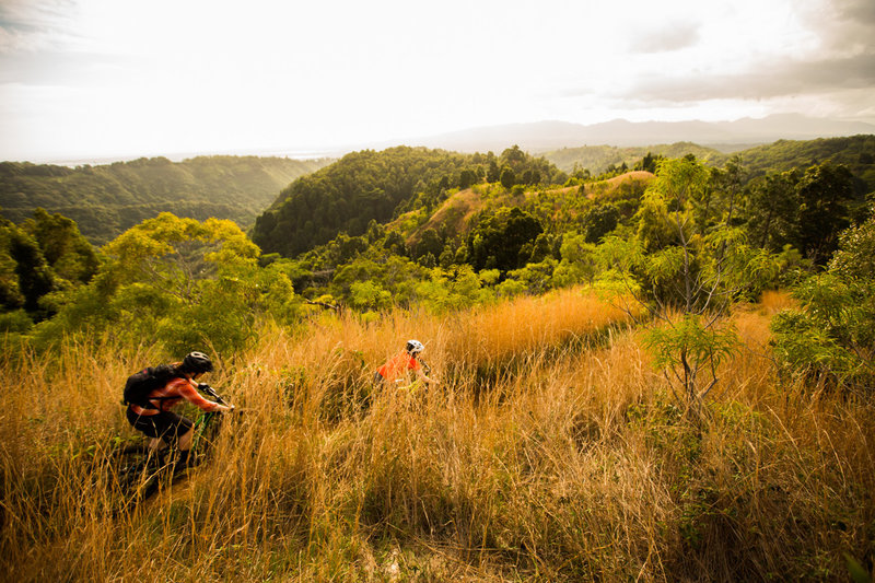 Manana Trail Mountain Bike Trail, Waimalu, Hawaii