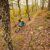 Bald Ridge Trail is one long, weet singletrack descent from the intersection with Bridge Hollow.