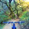 Super fun and interesting downhill! Mossy and heavy vegetation. Great flow to the trail.